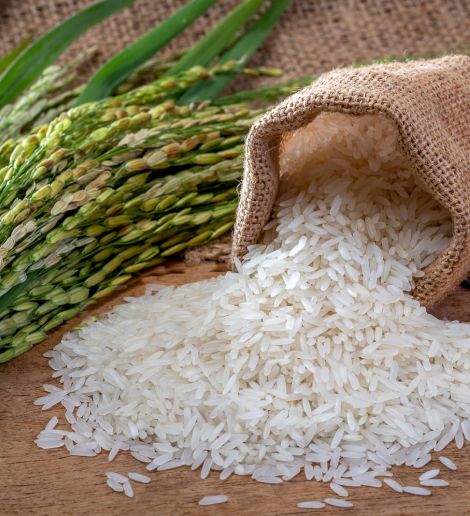 PAKISTAN RICE EXPORTER BEST