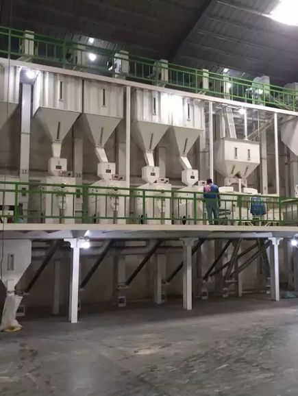 pakistan rice exporter