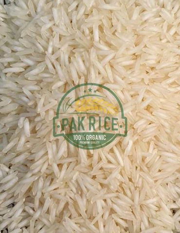 C9 RICE